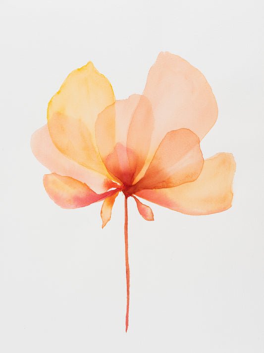 Blooming – Soft Ember